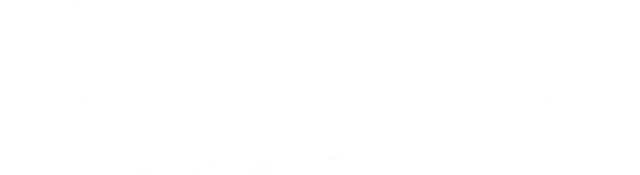 Valve Software