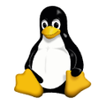 Linux Kernel