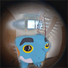 bluewamp