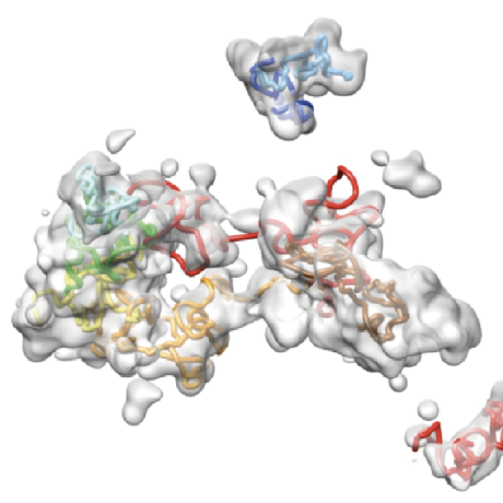 @CGI-Center-for-Genome-Imaging