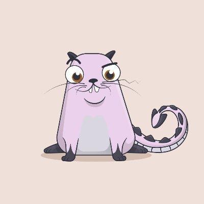 @CryptoKitty21