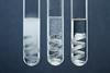 An image showing three test tubes, each containing magnesium strips in hydrochloric acid solutions of different concentrations