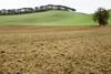 Clay soil field