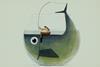 An illustration of a woman with a fishing rod sitting on a giant fish in a giant fish bowl.