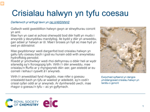 Tudalennau enghreifftiol sy'n ffurfio'r adnodd hwn
