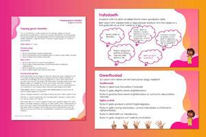 Example pages from teacher notes and classroom slides that make up this resource