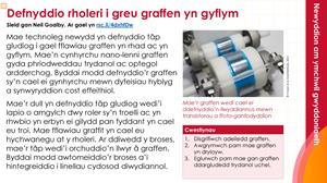 Tudalennau enghreifftiol sy'n ffurfio'r adnodd hwn