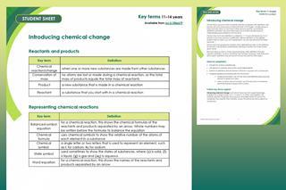 Pages showing the key terms list for this topic and teacher notes