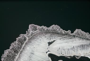 A photograph of lead nitrate crystals under polarised light