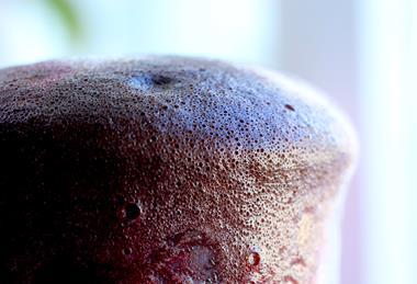 A photograph showing the catalytic decomposition of hydrogen peroxide in a glass container