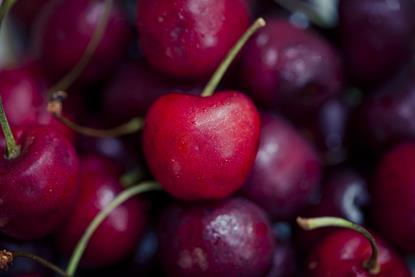 A macro photograph of a pile of red and red-purple cherries