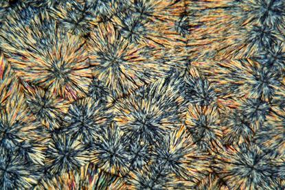 A photograph showing crystals of metamizole under microscope