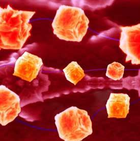 glucose-biosensor-275