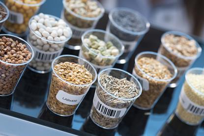Food testing