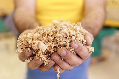 sawdust image