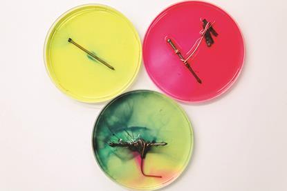 EiC Ex Chem - Corrosion rusting electrochemistry demonstration