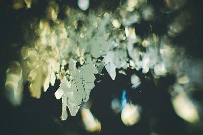Iodine crystals