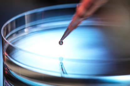 Petri dish image