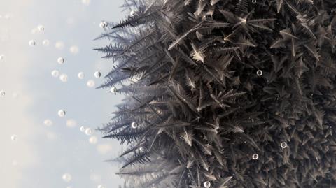 An image showing zinc reacting with lead nitrate