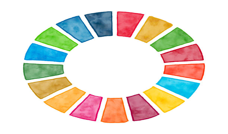 Sustainable Development Goals ( SDGS)