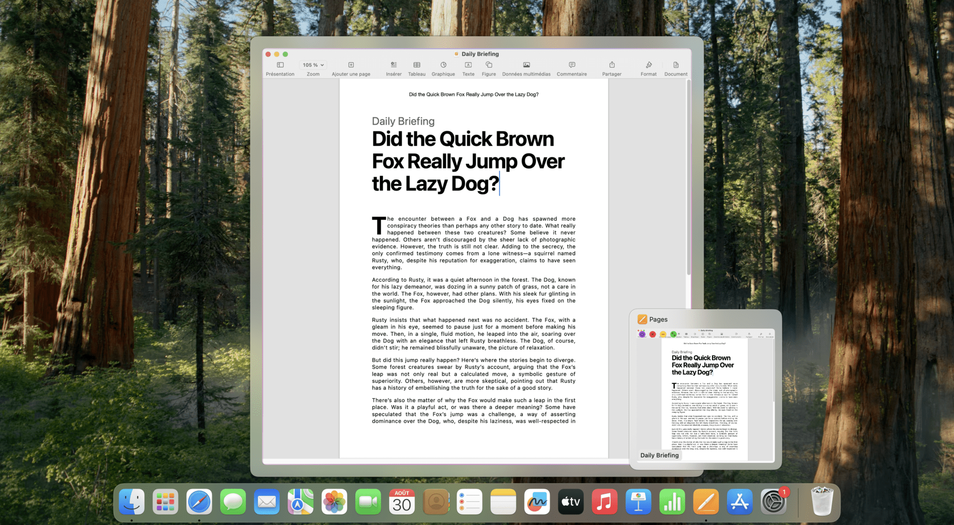 Large preview demonstration