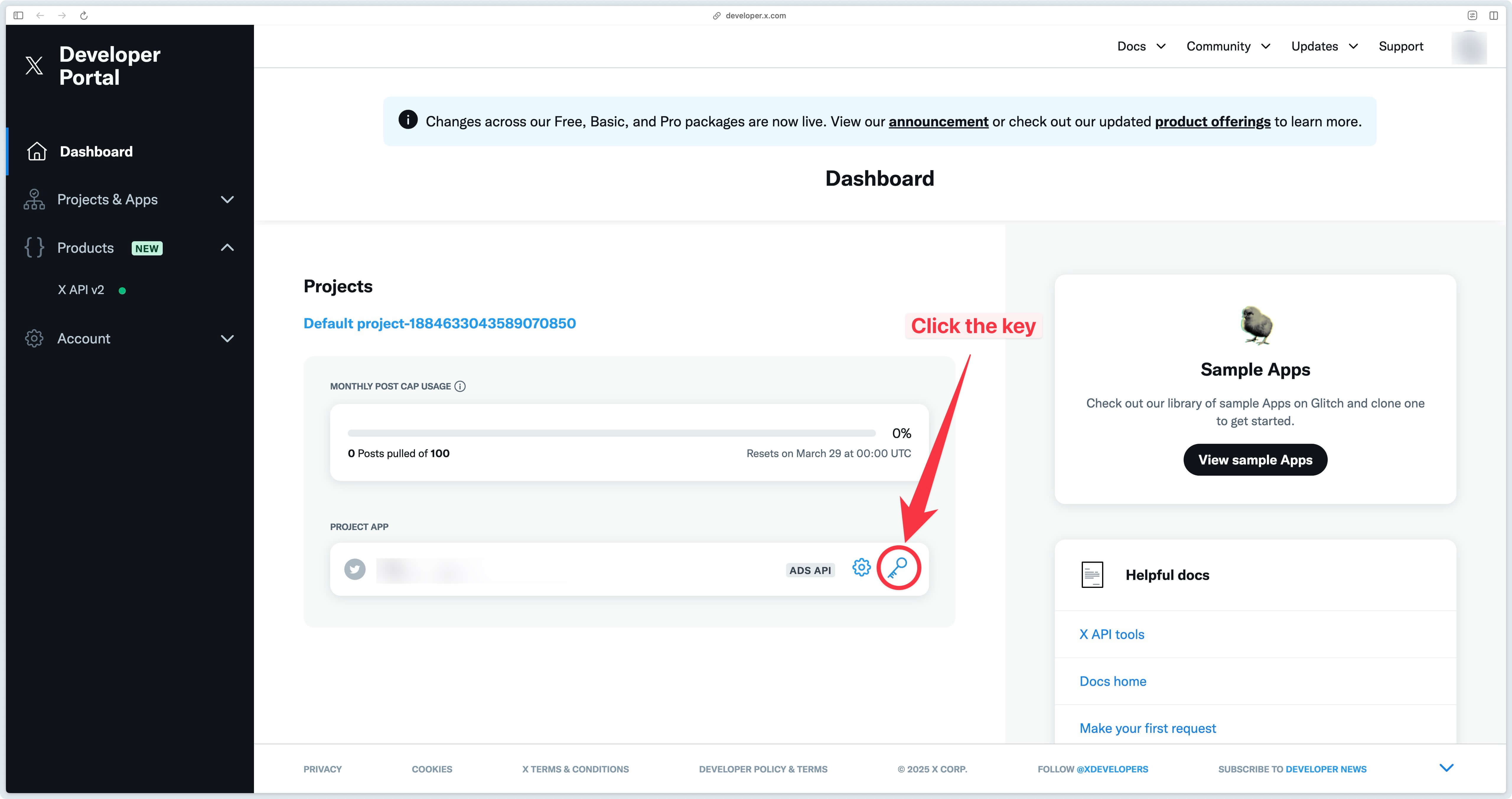 Key button to access application token in X Developer Portal