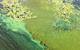 A patterned bloom of green-yellow algae sits at the surface of a river, pond or lake