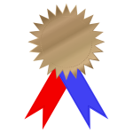 Bronze Medal