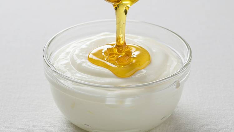 【運動後の新常識】最新研究でわかった！“ギリシャヨーグルト”が炎症を抑え、筋肉疲労の回復を早める