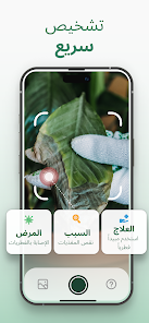 صورة لقطة الشاشة