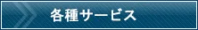 各種サービス