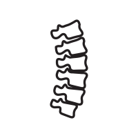 Spine icon
