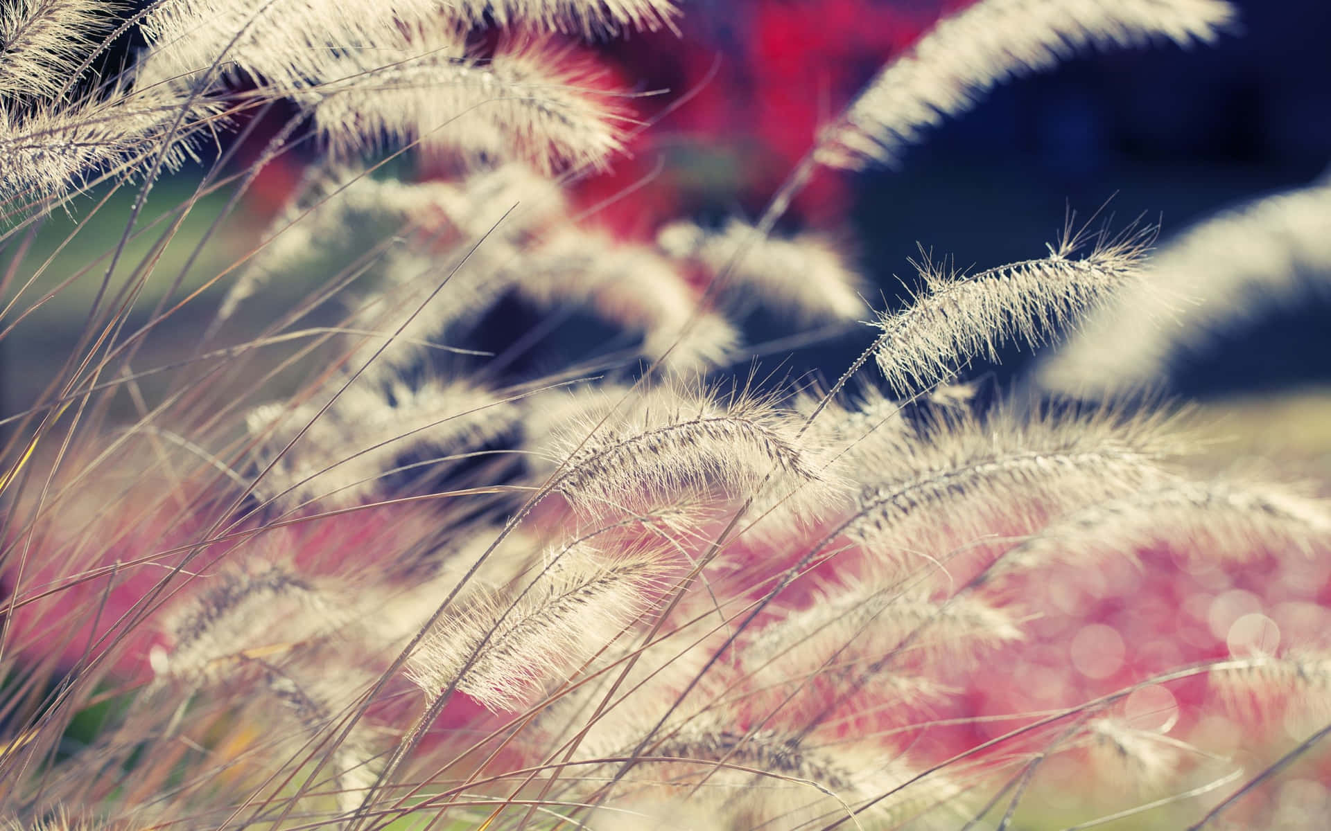 Wind Pictures Wallpaper