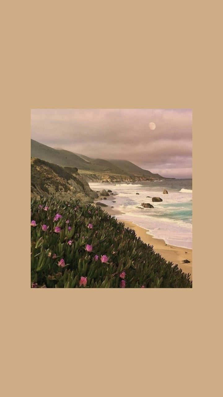 Pastel Brown Wallpaper
