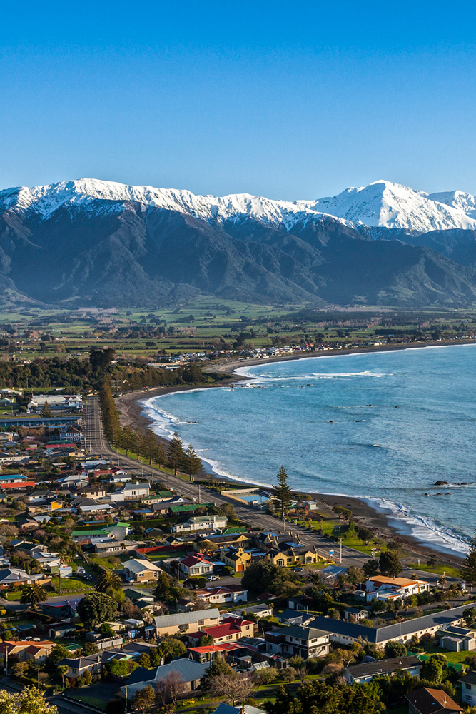 Découverte de Kaikoura
