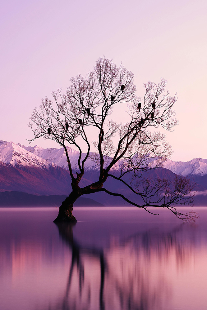 De Franz Josef à Queenstown
