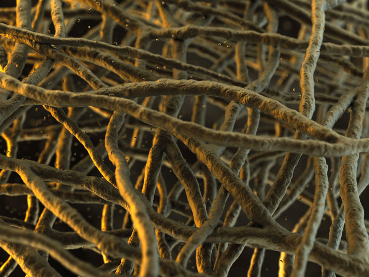 A close-up visualisation of a complex network of fibers or threads, likely captured using a scanning electron microscope (SEM).