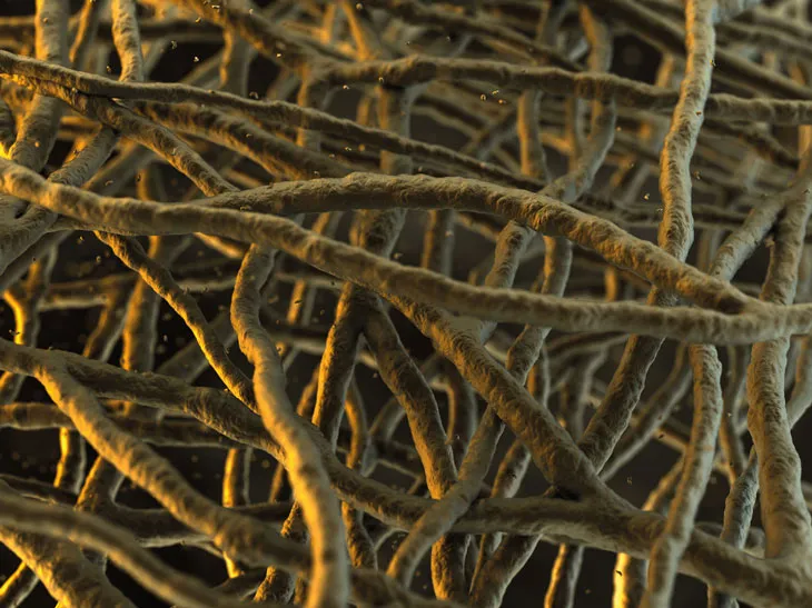 RSC Applied Polymers webinar A close-up visualisation of a complex network of fibers or threads, likely captured using a scanning electron microscope (SEM).