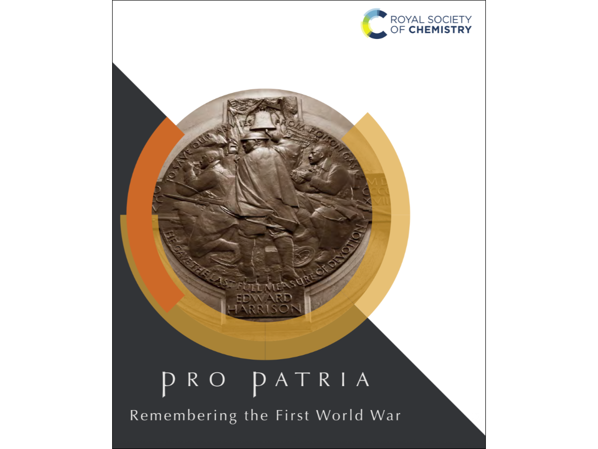 a cover of the Pro Patria book with a bronze metal design of soldiers