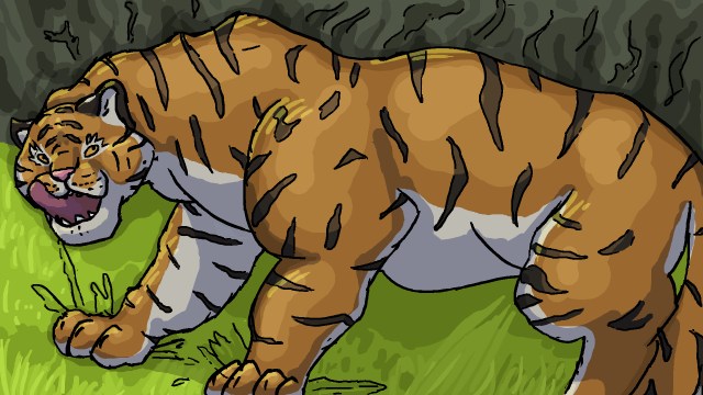 kisu on the prowl