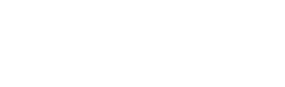 BCG company logo