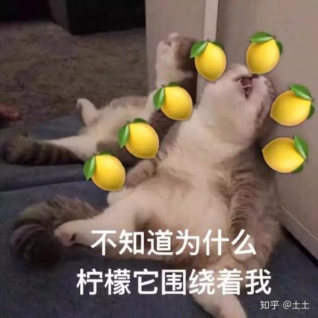 @youxi-git
