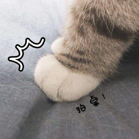 @xiaolei565