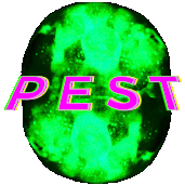 @pppest
