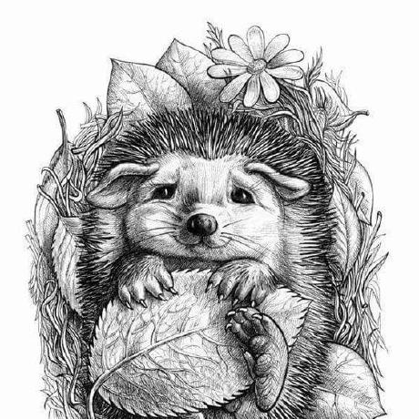 @Evgeniy-boop