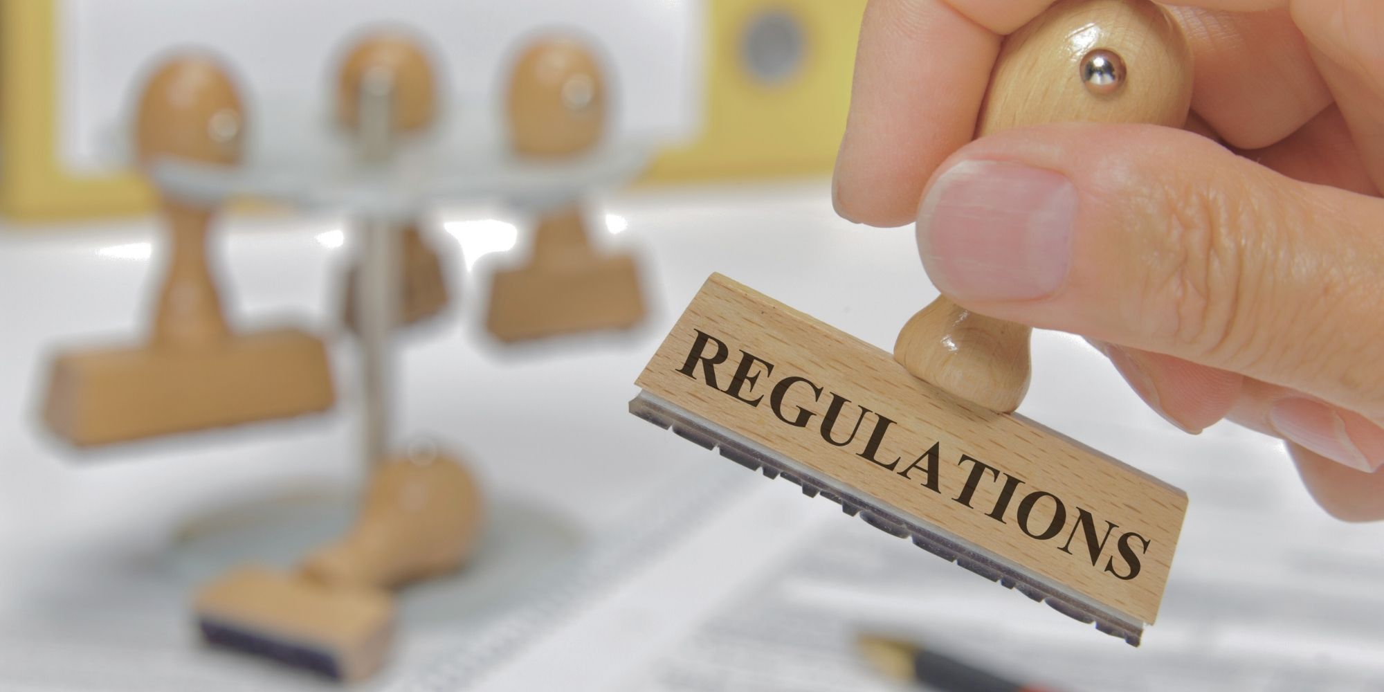 11.23.24 Primary Header Image