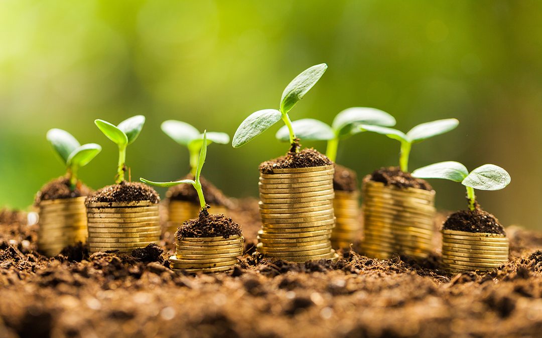 f:id:umihiroya:20210908214219j:plain