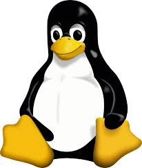 Linux commands