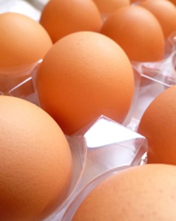 Bounce an Egg large image
