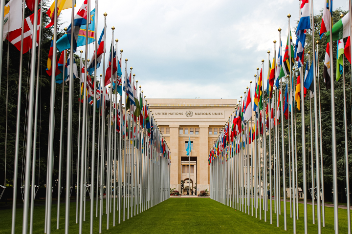 Rows of international flags line a walkway leading to the United Nations building, which stands at the center with the UN emblem above its entrance and trees on either side under a partly cloudy sky.
